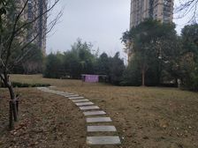 三林标杆小区环境好,双南两房精装修,非顶楼采光好