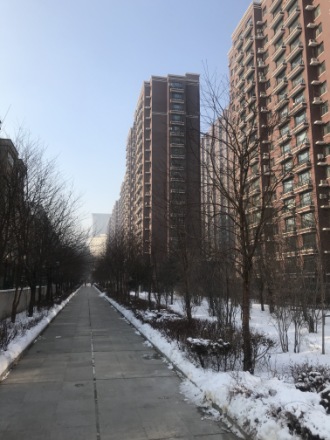御景名家实景图