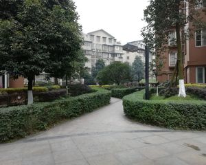 常青藤二期2室2厅南