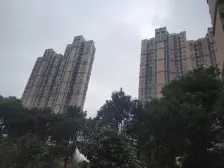 精装修户型佳~商品房品质,园林式小区环境,近8号线,生活方便