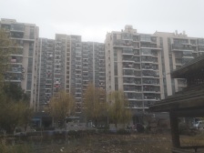 业主急售 小高层大两房好楼层