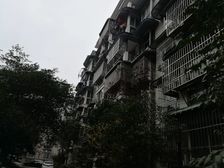 银杏森林4室2厅东南
