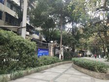 国际花园 1室1厅 北