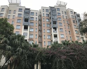 纯水岸真正板式洋房低密度小区