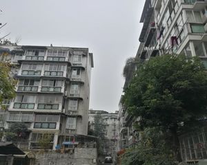 银杏森林2室1厅东南