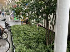 诚意出售,闹中取静,小区中心位置,一梯四户,主卧朝南,精装修,大开间