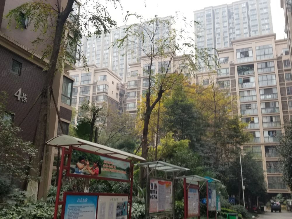 小区相关图