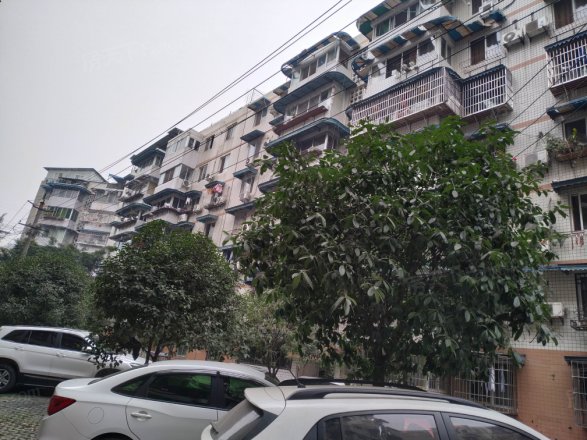 昭青怡园实景图