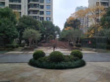 前滩15年次新电梯四房 带产权车位 绿城物业 人车分流