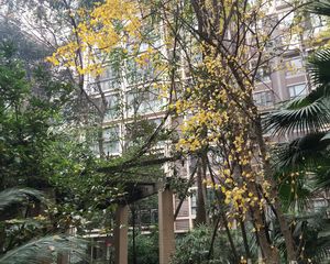 北新润苑一期2室1厅北