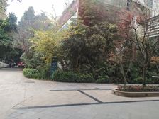 南阳锦城5室2厅南