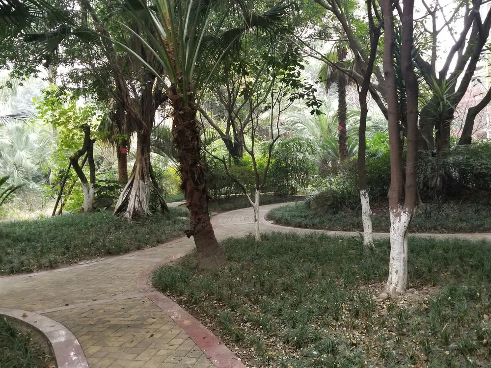 小区相关图