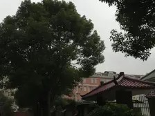 低总价两房,楼层位置好,业主诚售,配套齐