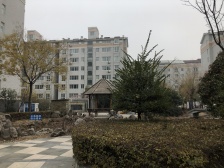 郑东新区 有电梯 一居室 随时看房