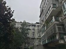 银杏森林2室1厅南