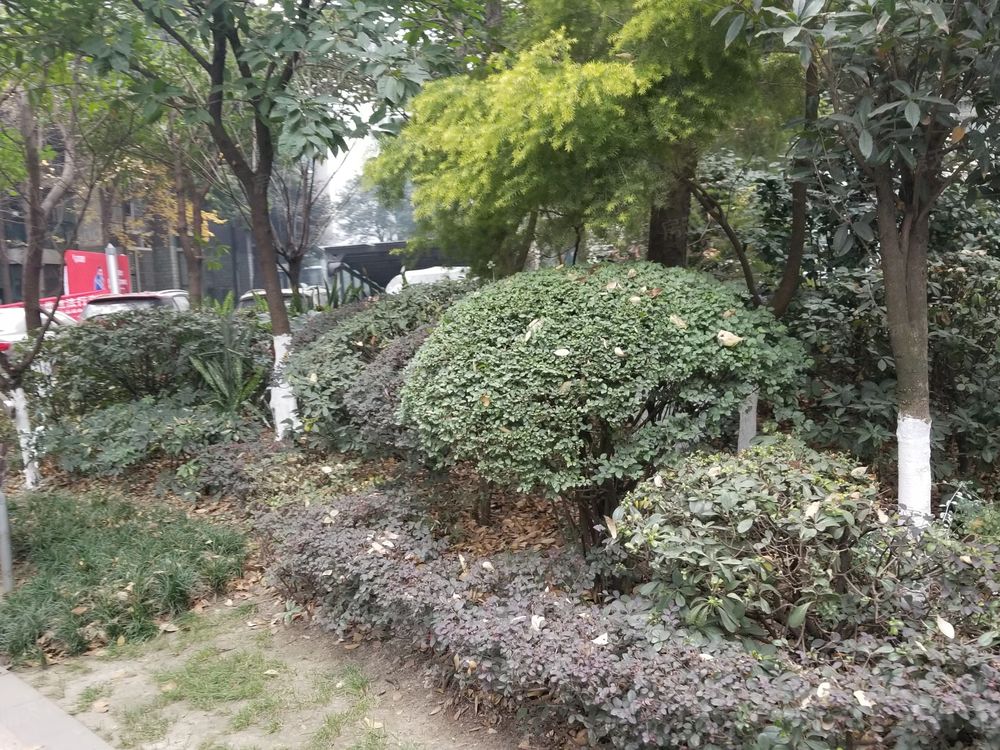 小区相关图