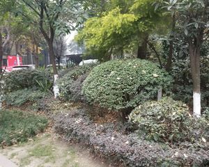 嘉美华凯2室2厅南