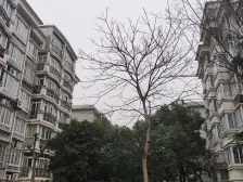 兴景佳苑 2室1厅 南