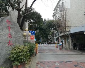 银杏森林3室1厅南