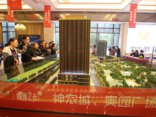 奥园广场1室1厅南