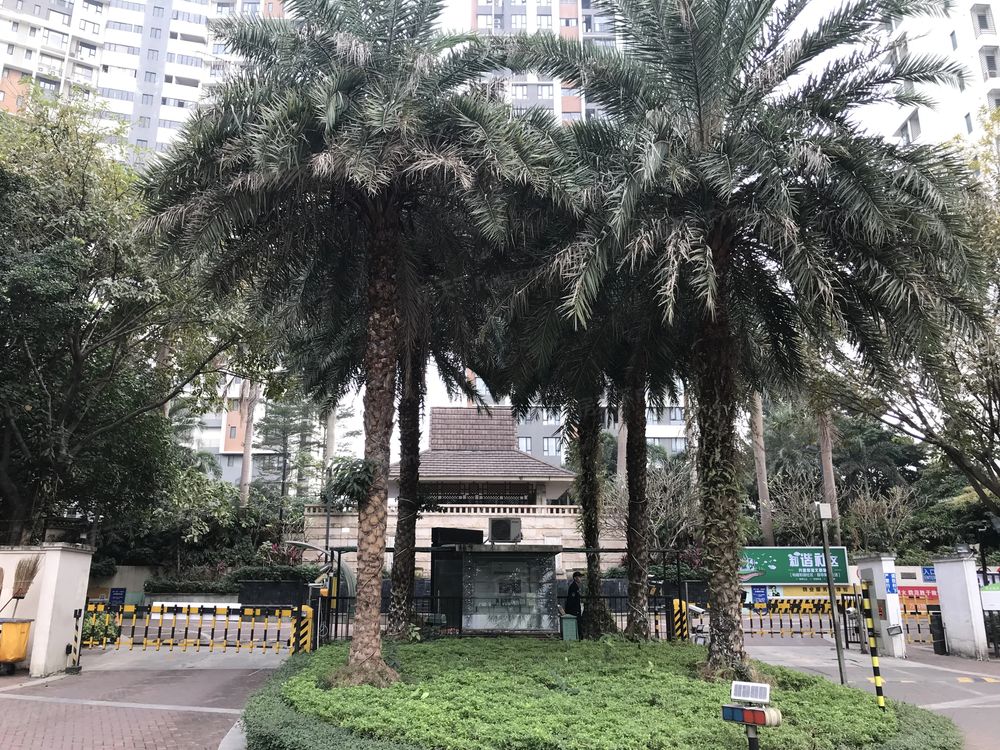 小区相关图