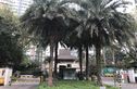 万科新城湾畔实景图