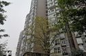 八里阳光实景图