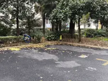 南码头·沈家宅195弄·2室·2厅