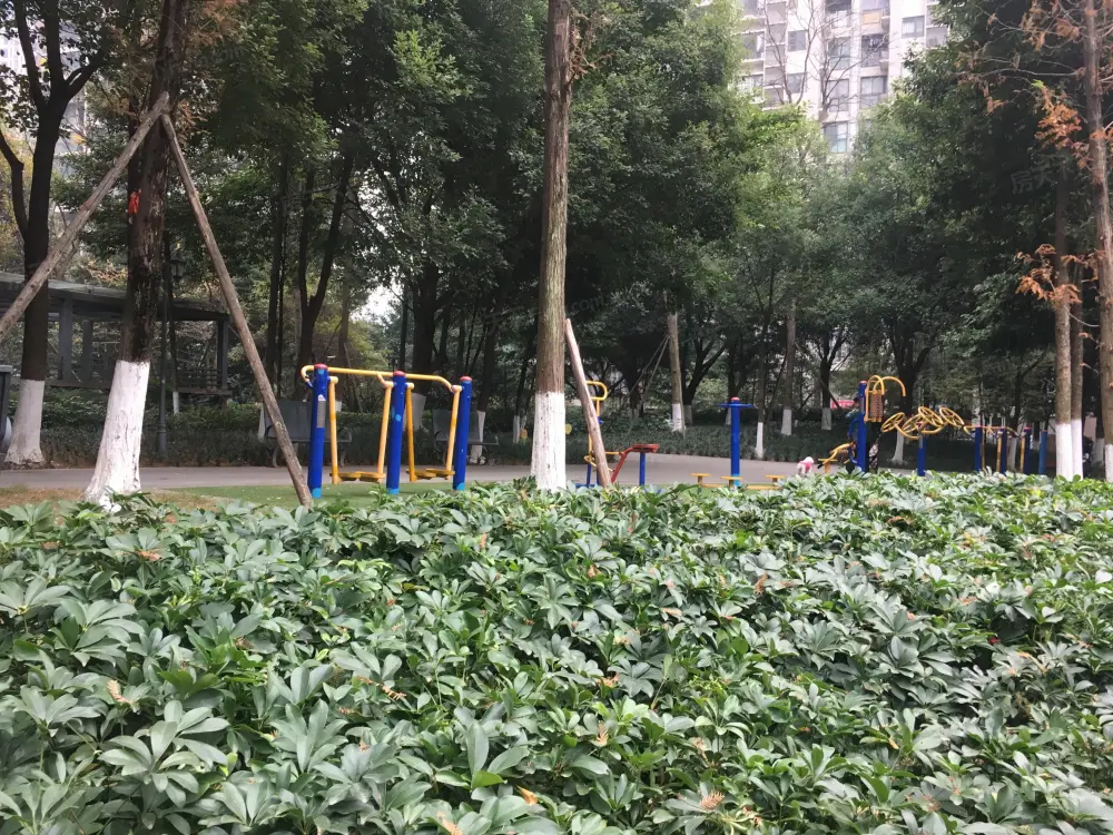 实景图