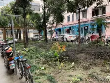 冬暖夏凉阳光房静安区经典路段诚售随时看房