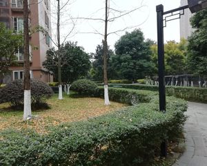 常青藤二期4室1厅东