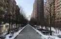 御景名家实景图