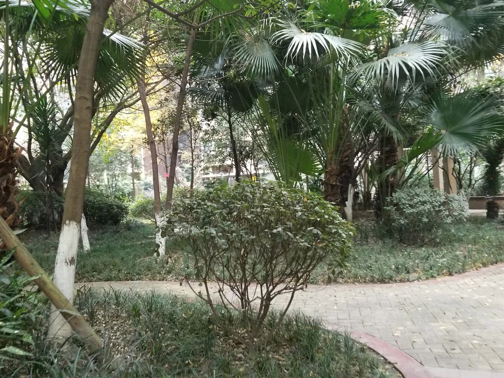 小区相关图