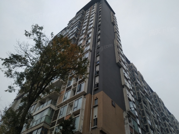 凯华丽景实景图