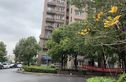 金沙鼎苑实景图