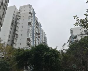 东晶丽苑 3室2厅 东南