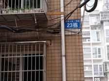 白莲小区二号院2室1厅东南