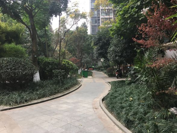 澳龙名城实景图