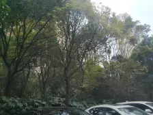 电梯高区,小区位置好,视野开阔,南北两房!