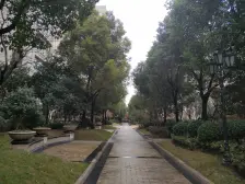 三林·合生前滩一号·6室·5厅