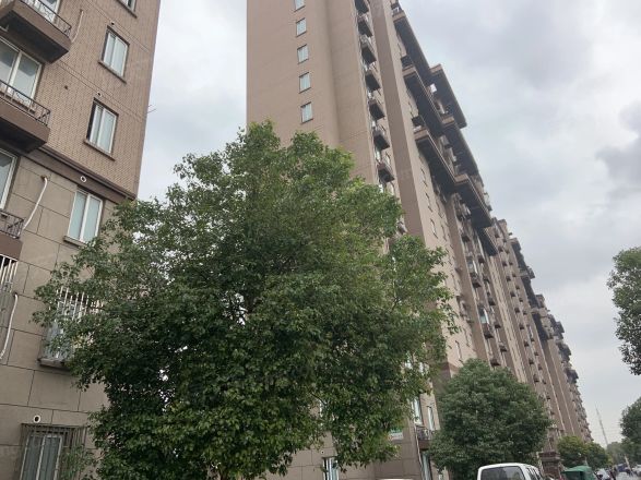 金沙鼎苑实景图