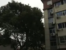 低总价两房,楼层位置好,业主诚售,配套齐