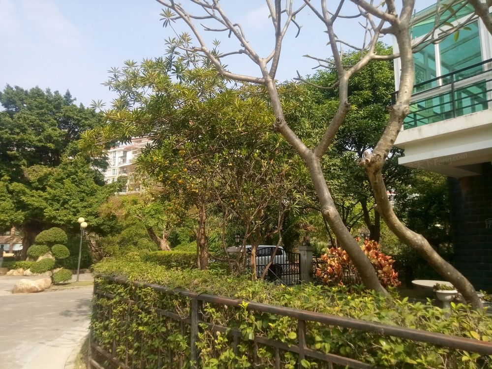 小区相关图
