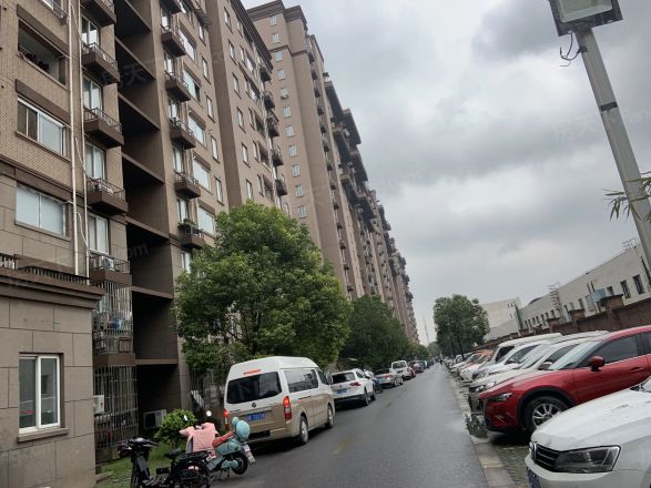 金沙鼎苑实景图