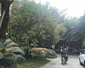 南阳锦城四期3室2厅东