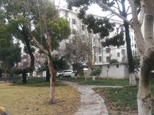 一梯两户,繁华地段,闹中取静,钥匙房,诚意出售