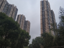 三林·依水园(二期)·2室·1厅