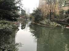 天鹅湖北苑3室2厅南