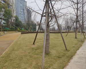 复地金融岛湾流汇1室1厅北西