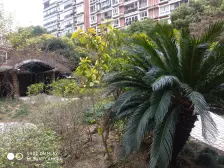 华虹公寓2室南朝向1050.00万元/套出售